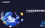 產品營銷策略有哪些?(產品營銷的10大策略)。